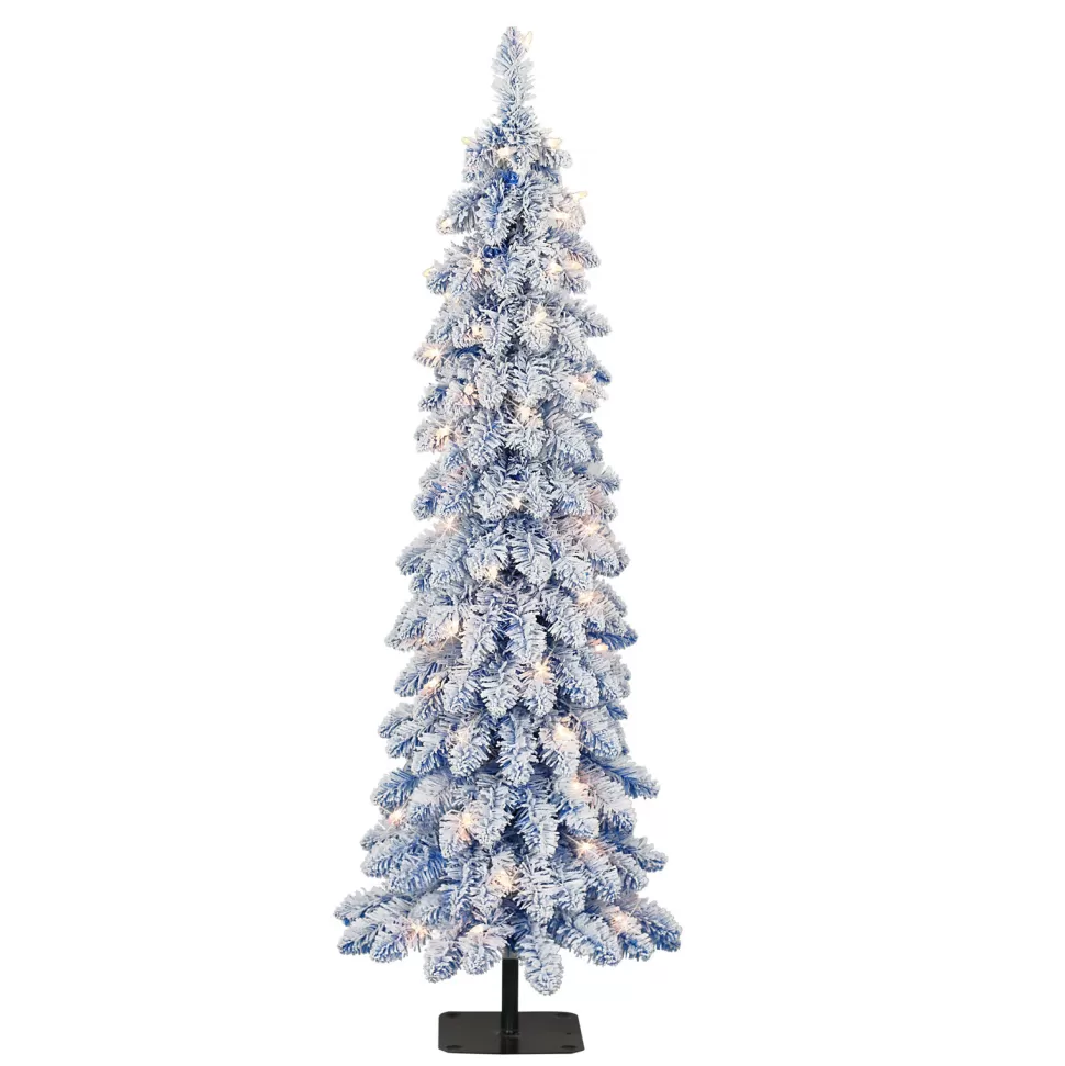 Clearance The Holiday Aisle Giano Slender Blue Pine Christmas Tree With 50 Lights