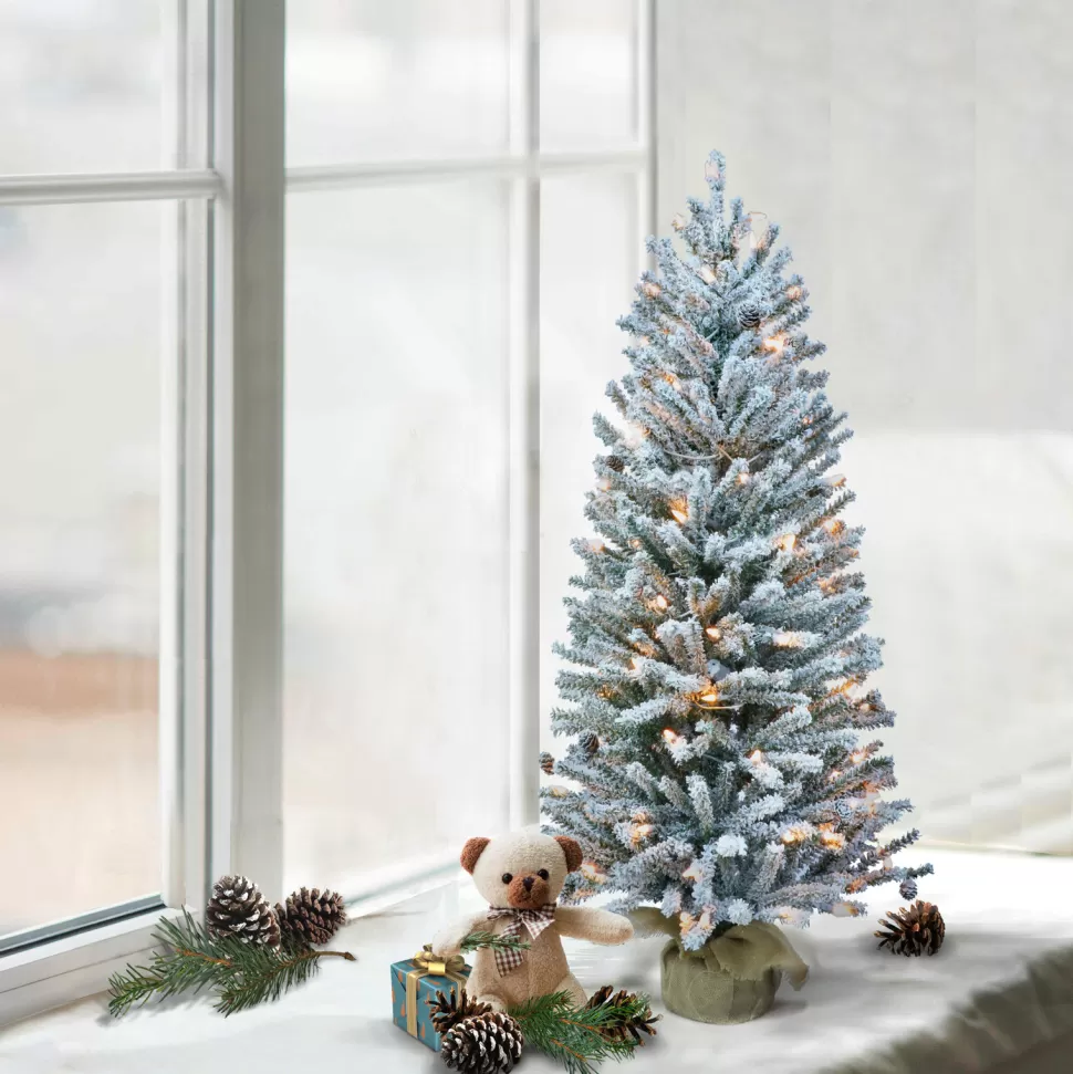 Online The Holiday Aisle Green Fir Frosted Christmas Tree With Lights