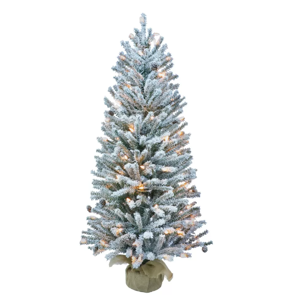 Online The Holiday Aisle Green Fir Frosted Christmas Tree With Lights