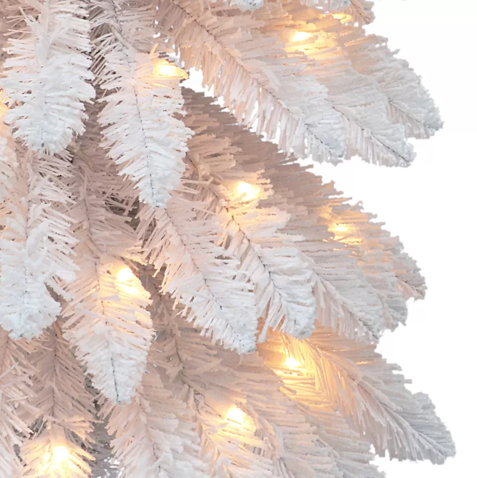 Online The Holiday Aisle Gualberto 7' H Slender White Pine Christmas Tree With 150 Lights