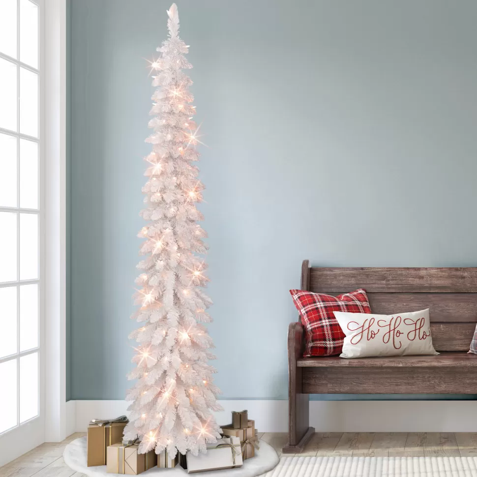 Online The Holiday Aisle Gualberto 7' H Slender White Pine Christmas Tree With 150 Lights