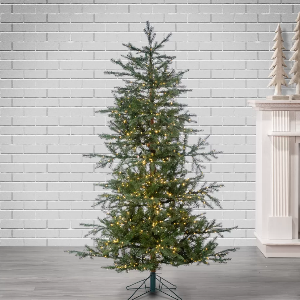 Best Sale The Holiday Aisle Haileyrose 5" H Green Pine Christmas Tree With 560 Led Twinkling Lights