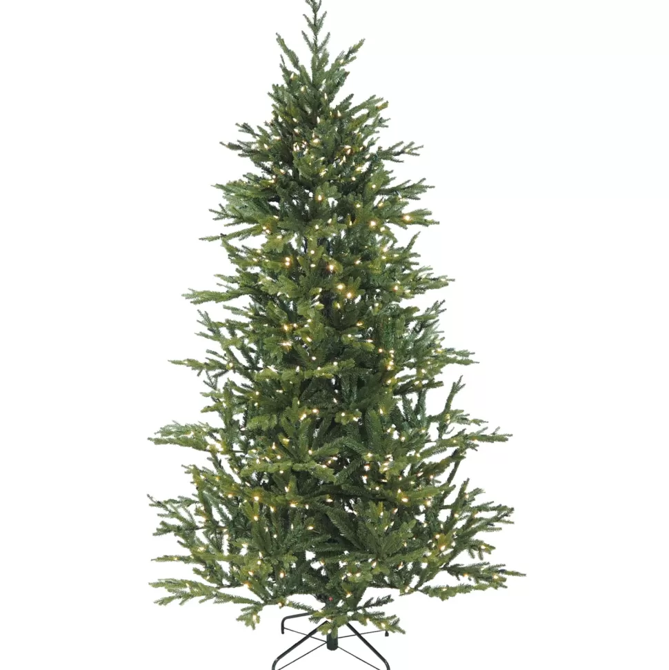 Sale The Holiday Aisle Hillwood Pine Led