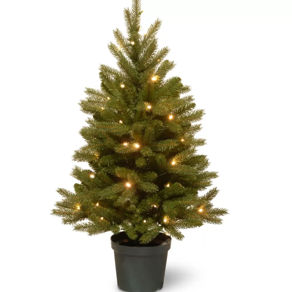 Fashion The Holiday Aisle Jersey Fraser 3' Green Fir Artificial Christmas Tree With 35 Color & Clear Lights
