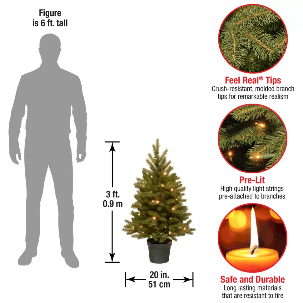 Fashion The Holiday Aisle Jersey Fraser 3' Green Fir Artificial Christmas Tree With 35 Color & Clear Lights