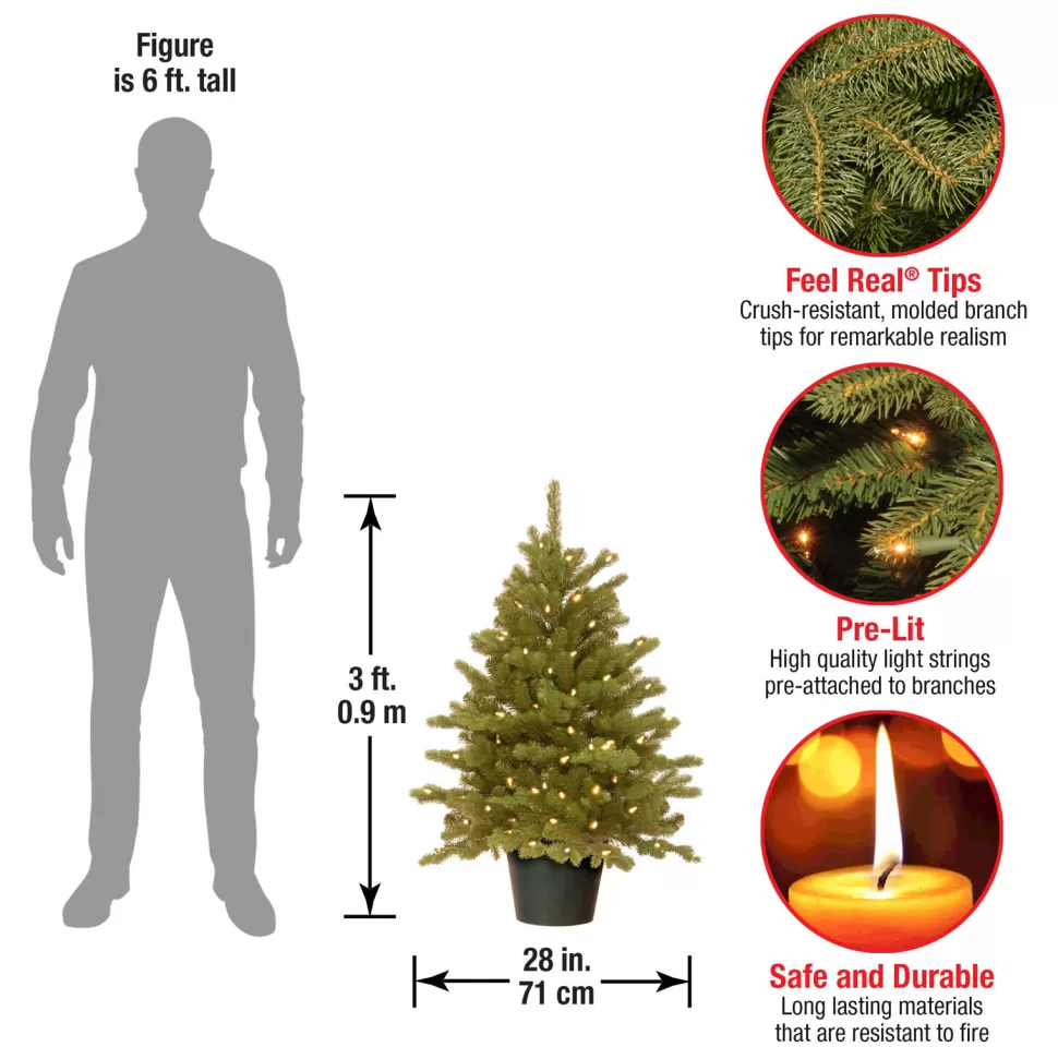Flash Sale Andover Mills Kiara 36" H Green Artificial Christmas Tree With 100 Lights
