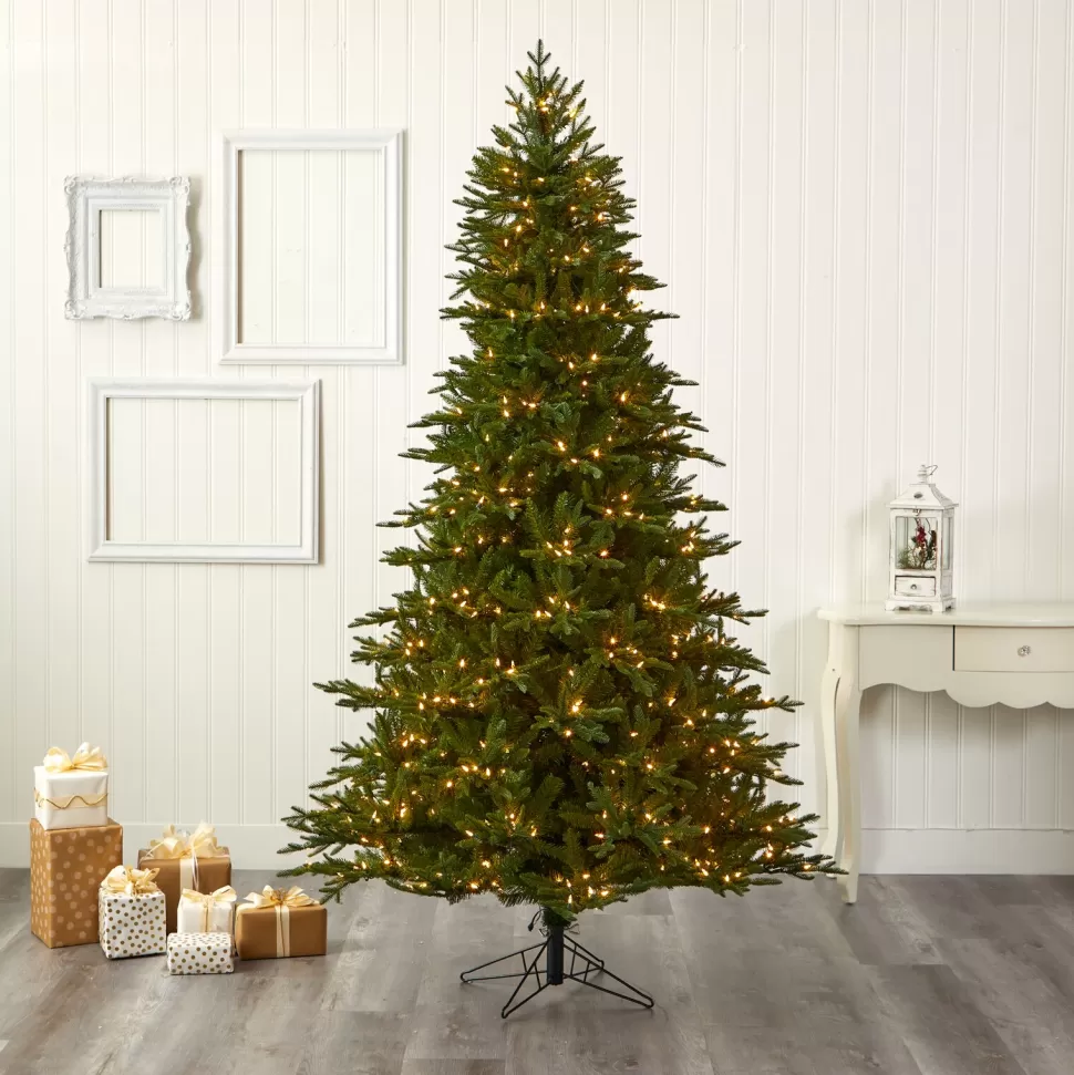 Flash Sale The Holiday Aisle Lighted Artificial Douglas Fir Christmas Tree - Stand Included