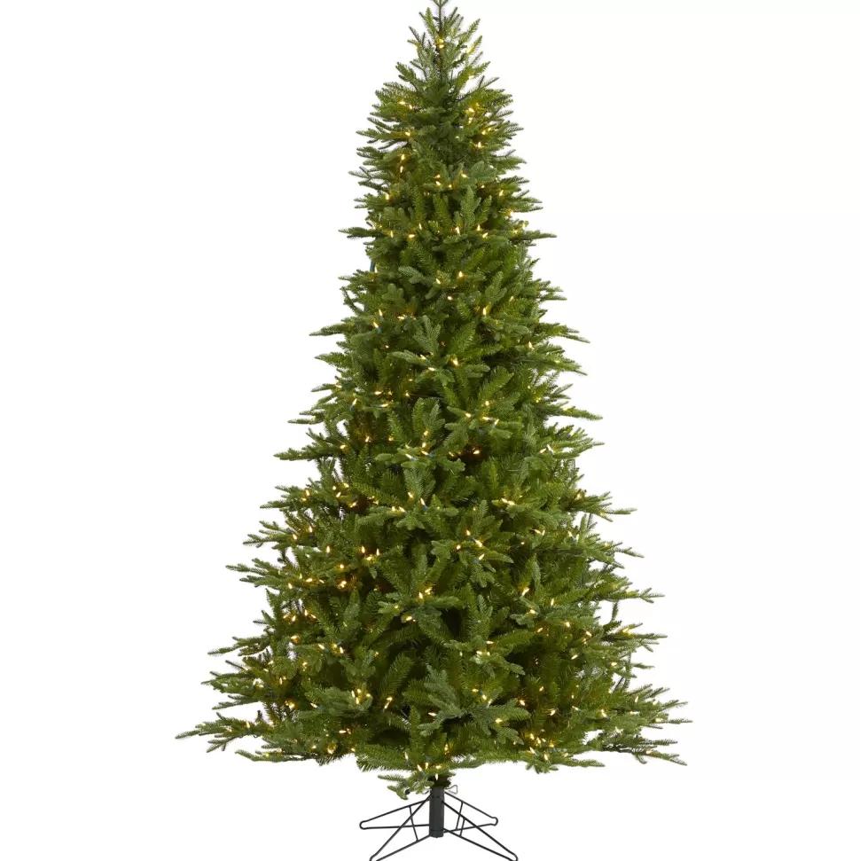 Flash Sale The Holiday Aisle Lighted Artificial Douglas Fir Christmas Tree - Stand Included