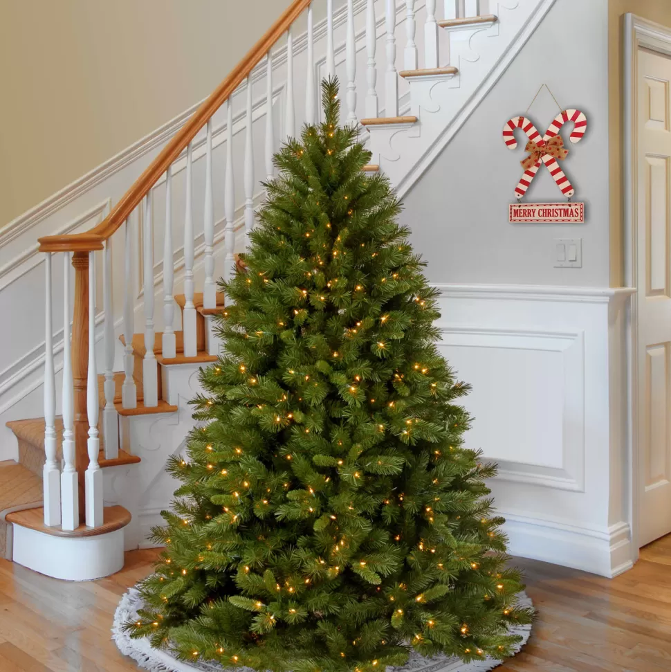 Online Mercury Row Lighted Artificial Pine Christmas Tree