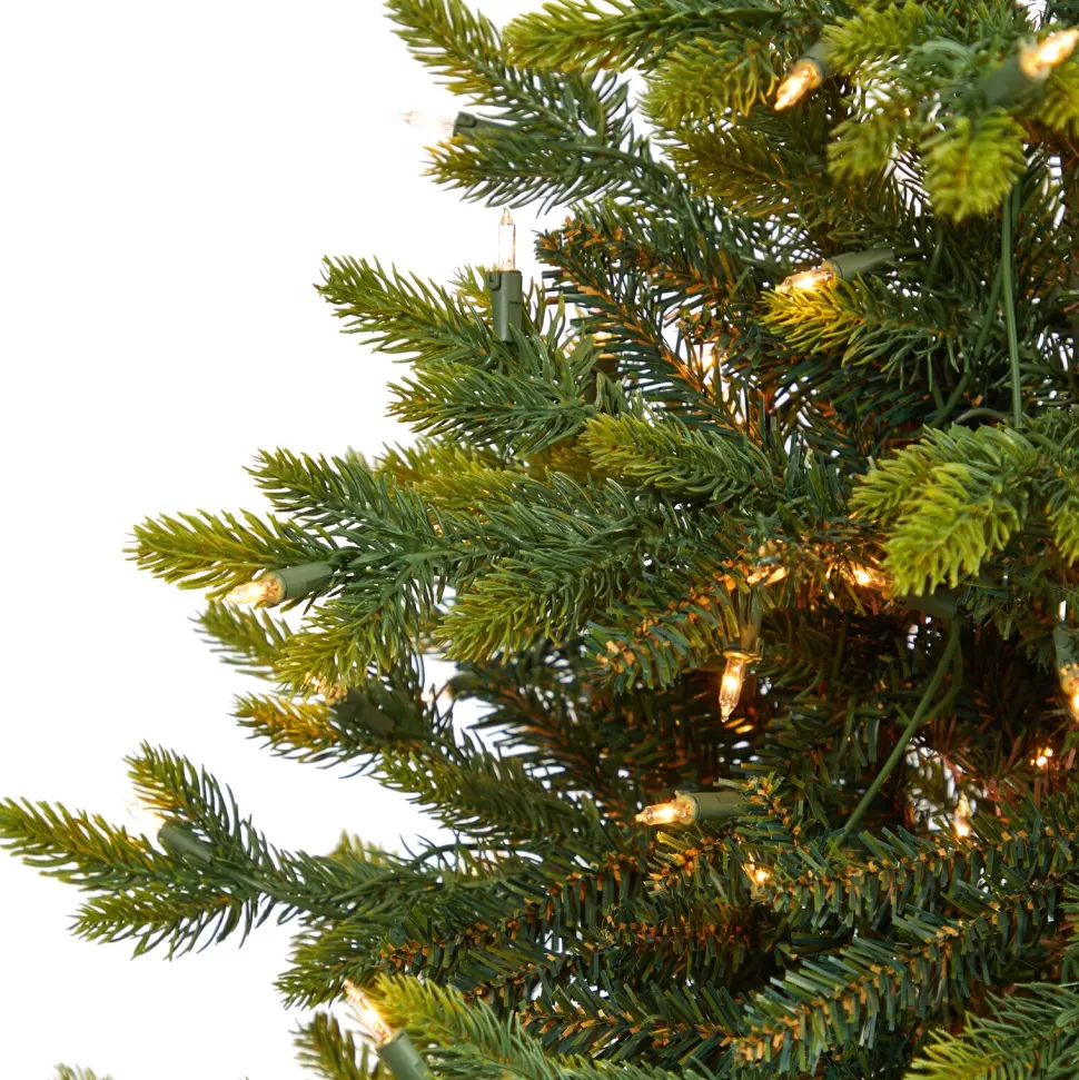 Outlet The Holiday Aisle North Carolina 7' Green Fir Artificial Christmas Tree With 550 Colored And Clear Lights