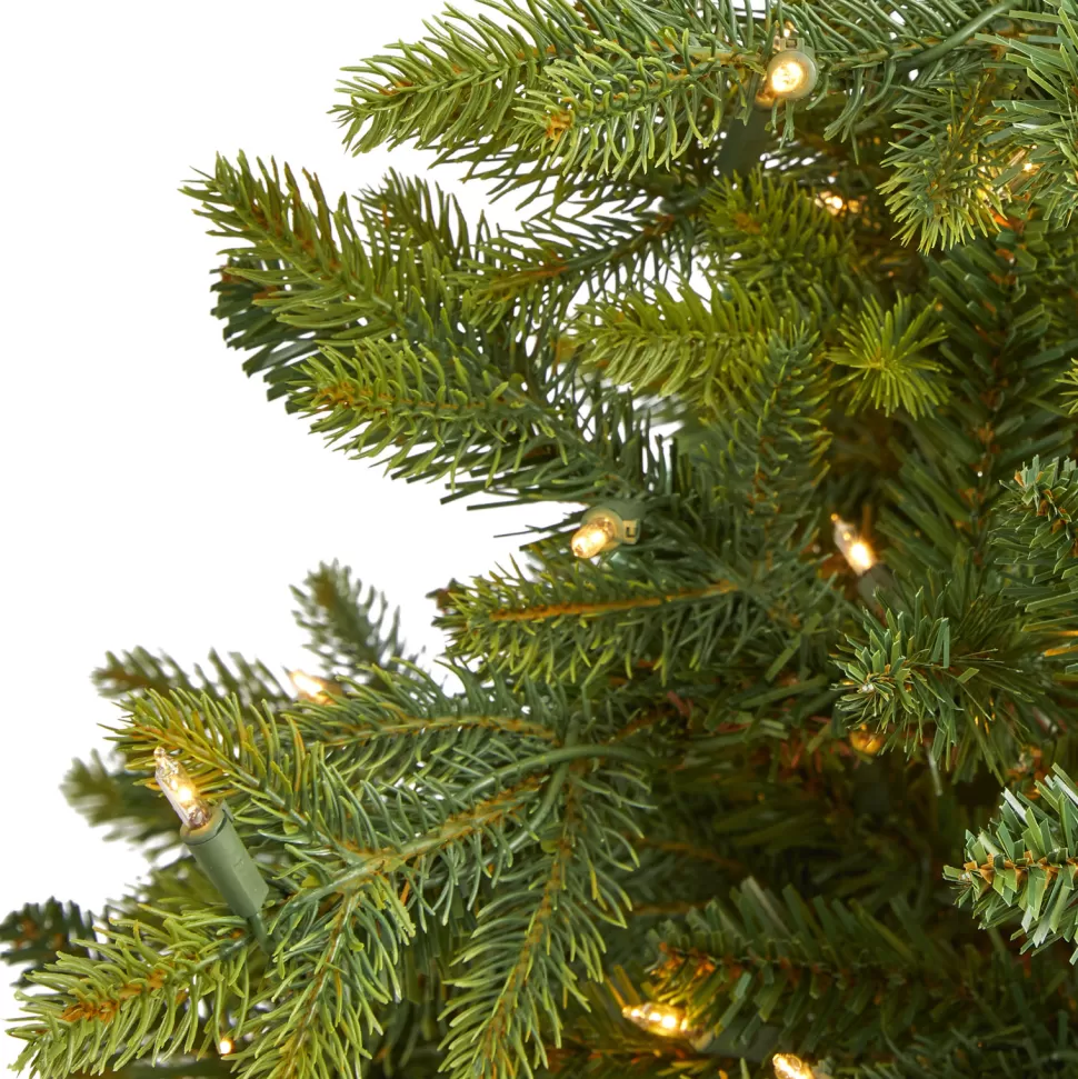 Outlet The Holiday Aisle North Carolina 7' Green Fir Artificial Christmas Tree With 550 Colored And Clear Lights