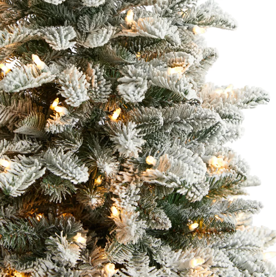 Cheap The Holiday Aisle North Carolina 8' Flocked Fir Artificial Christmas Tree With 650 Clear/White Light