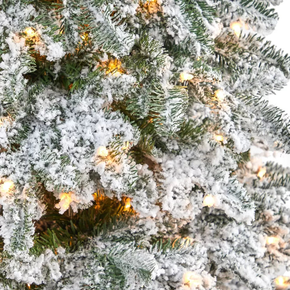 Cheap The Holiday Aisle North Carolina 8' Flocked Fir Artificial Christmas Tree With 650 Clear/White Light