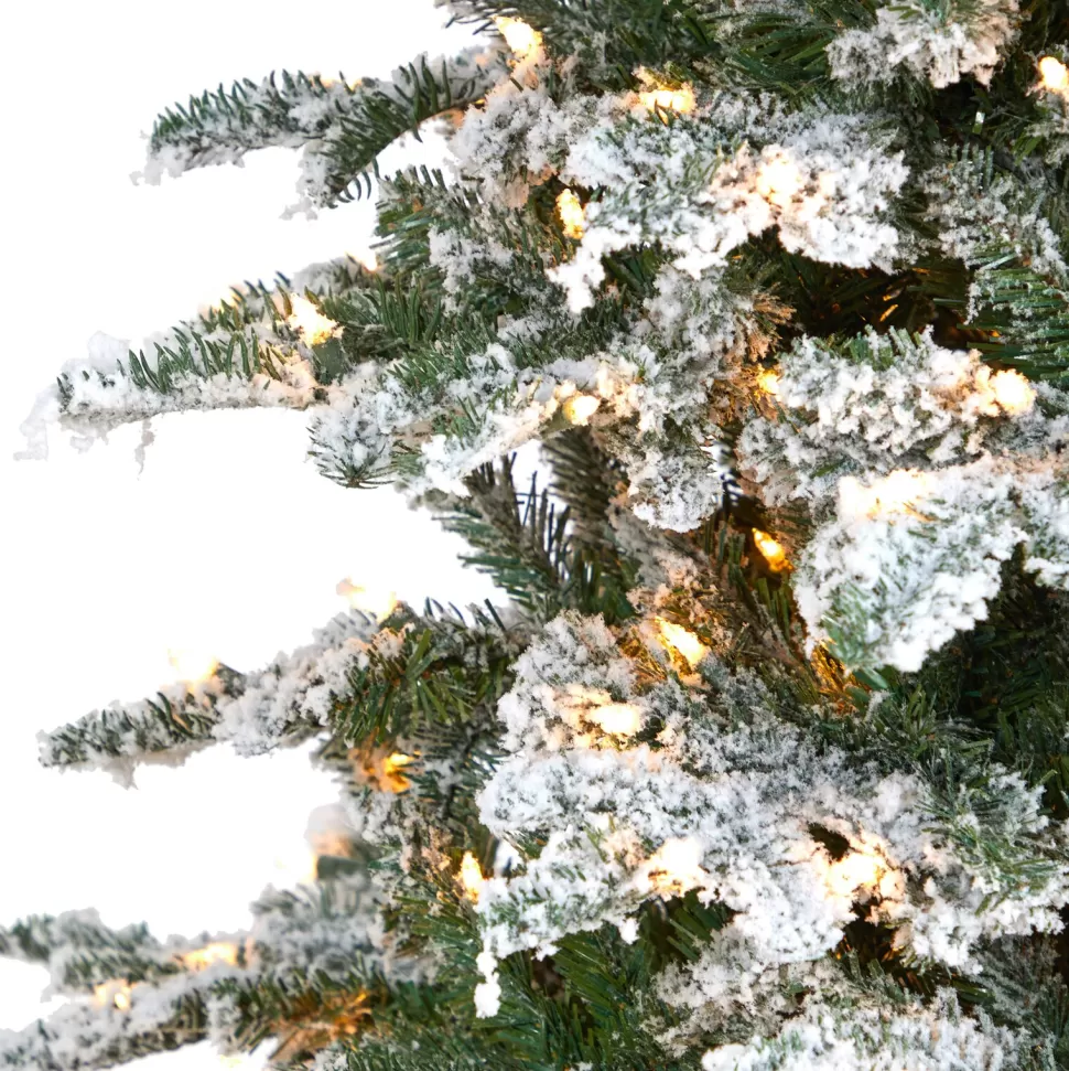 Cheap The Holiday Aisle North Carolina 8' Flocked Fir Artificial Christmas Tree With 650 Clear/White Light