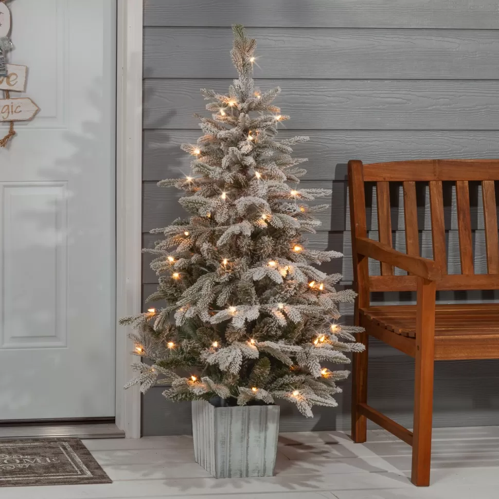 Online The Holiday Aisle Potted Natural Cut Flocked 4.5' Silver And Green Fir Trees Artificial Christmas Tree With 70 Clear White Light