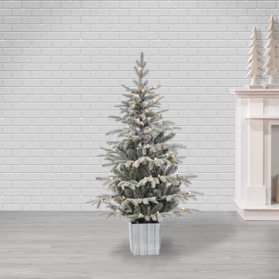 Online The Holiday Aisle Potted Natural Cut Flocked 4.5' Silver And Green Fir Trees Artificial Christmas Tree With 70 Clear White Light