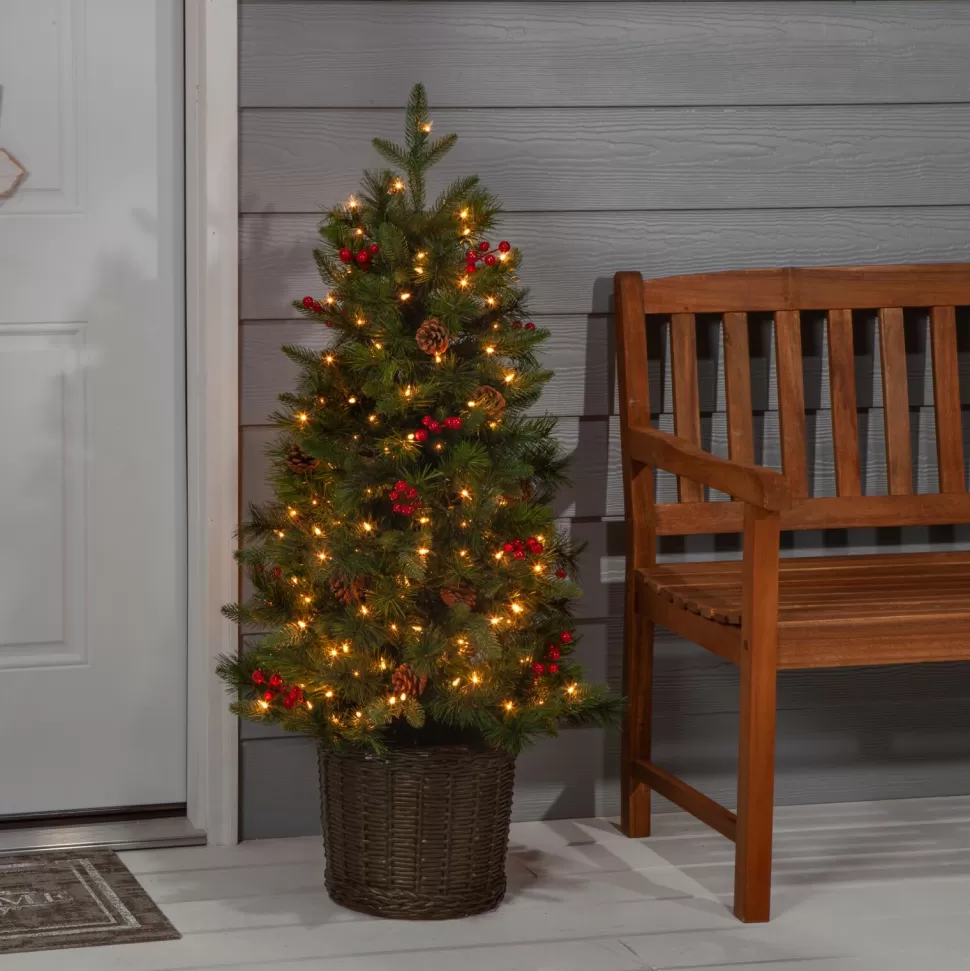 New The Holiday Aisle Potted Natural Cut Riverton 4' H Green Pine Christmas Tree With 150 Lights