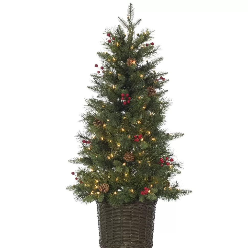 New The Holiday Aisle Potted Natural Cut Riverton 4' H Green Pine Christmas Tree With 150 Lights