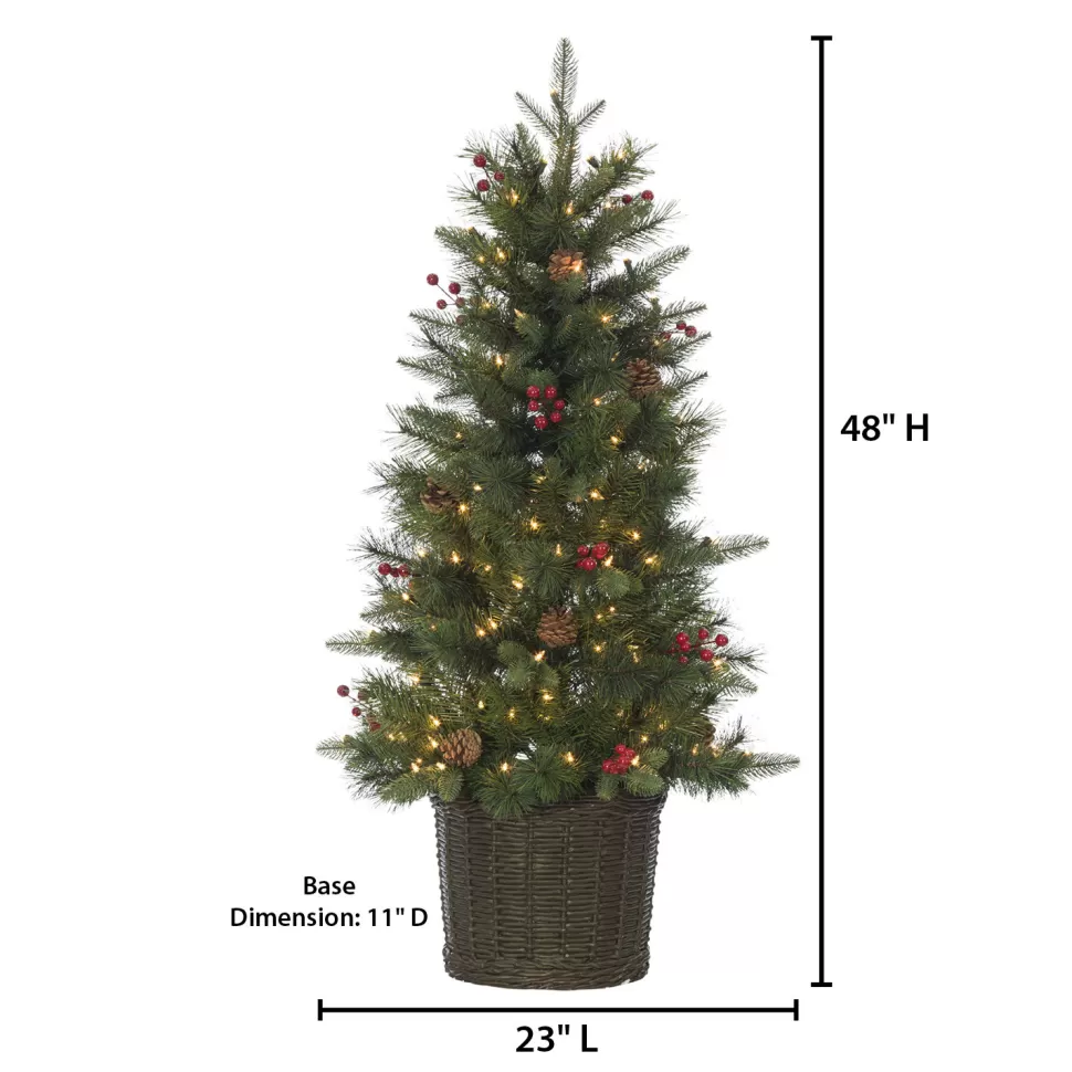 New The Holiday Aisle Potted Natural Cut Riverton 4' H Green Pine Christmas Tree With 150 Lights