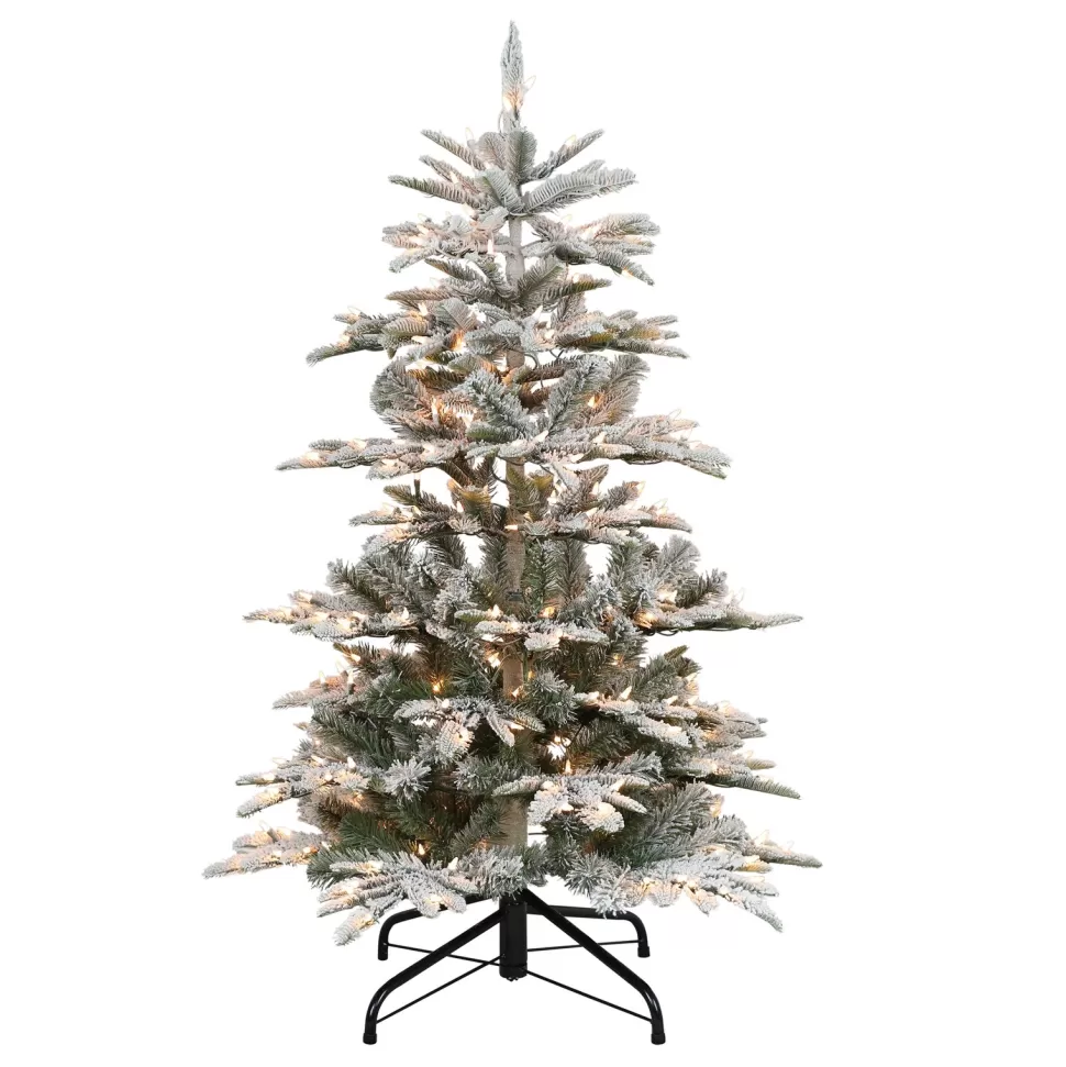 Cheap The Holiday Aisle Pre-Lit 5' 4" H Green Realistic Artificial Fir Flocked/Frosted Christmas Tree With 250 Lights