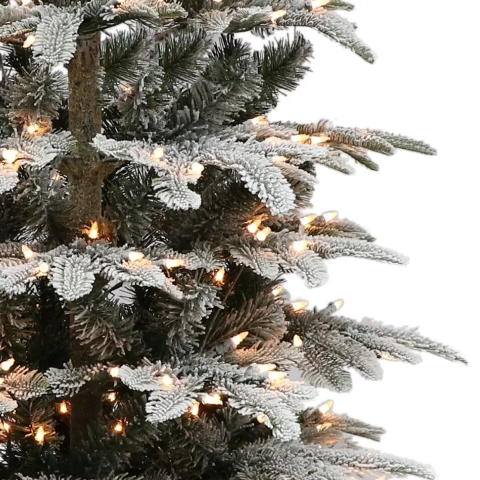 Cheap The Holiday Aisle Pre-Lit 5' 4" H Green Realistic Artificial Fir Flocked/Frosted Christmas Tree With 250 Lights