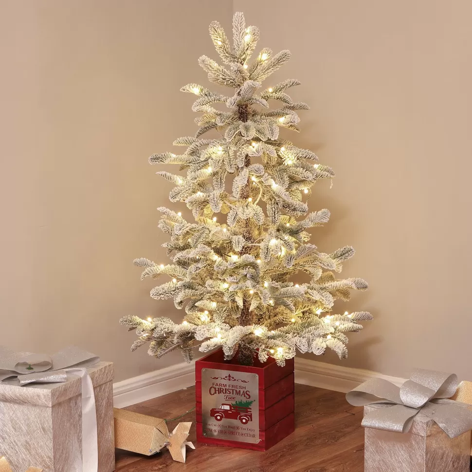 Cheap The Holiday Aisle Pre-Lit Porch 4' Green/White Fir Artificial Christmas Tree With 100 Warm White Lights