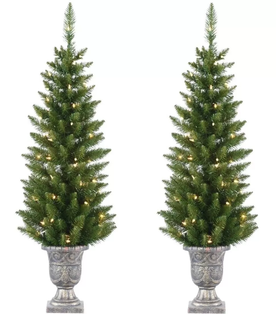 Online Northlight Seasonal Pre-Lit Whitmire Pine Potted Artificial Christmas Trees 4' - Clear Lights