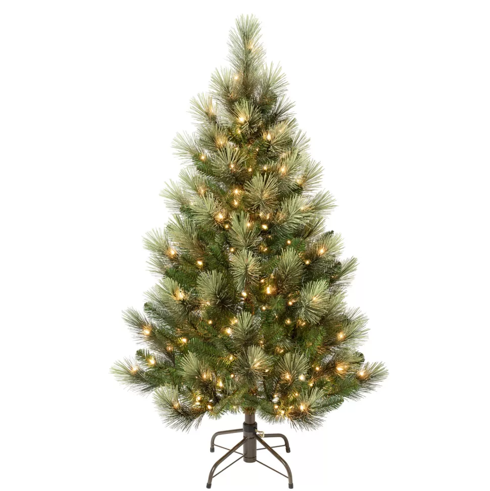 Cheap The Holiday Aisle Slender Green Pine Cashmere Christmas Tree With 300 Lights