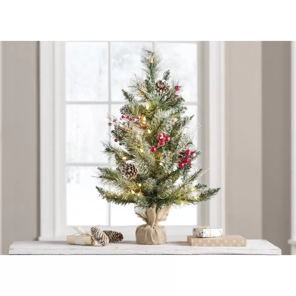Cheap Andover Mills Snow Tipped Pine And Berry 2' Artificial Christmas Tree With 35 Clear Lights